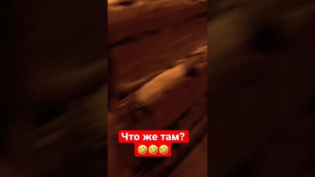 Что же там ?