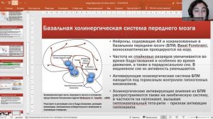 Модулирующие системы мозга, полиграфия