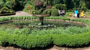 Шри Ланка 2024. Королевский ботанический сад. Видео