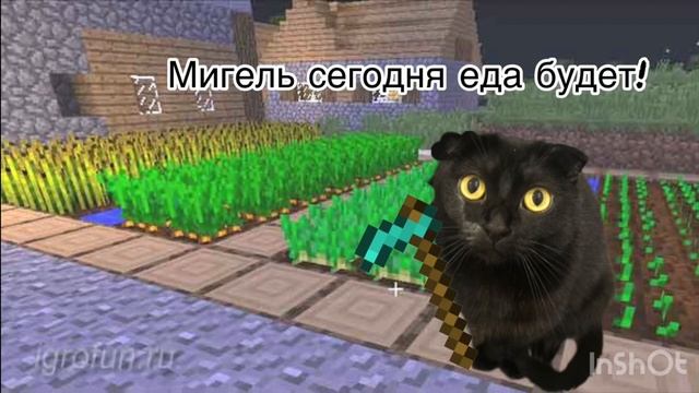 Собака и кот играют в Майнкрафт