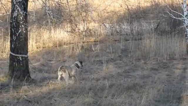 Гера смотреть онлайн