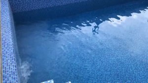 Вода перестала зеленеть в уличном бассейне. Что я сделал