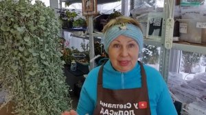 Я не плачу, а работаю дальше. Планов много, но еще и сезон не окончен