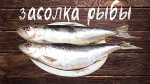 Засолка рыбы (селедка, залом)