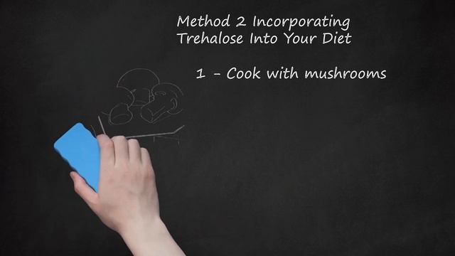 Unlocking the Power of Trehalose: A Comprehensive Guide to Sources, Health Benefits, and