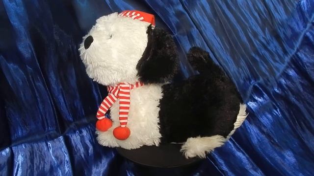Black and white fluffy horizontal fart dog. In static.Черно-белая пукающая собака в колпачке и шарф