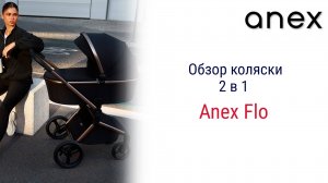 Anex Flo - коляска 2 в 1