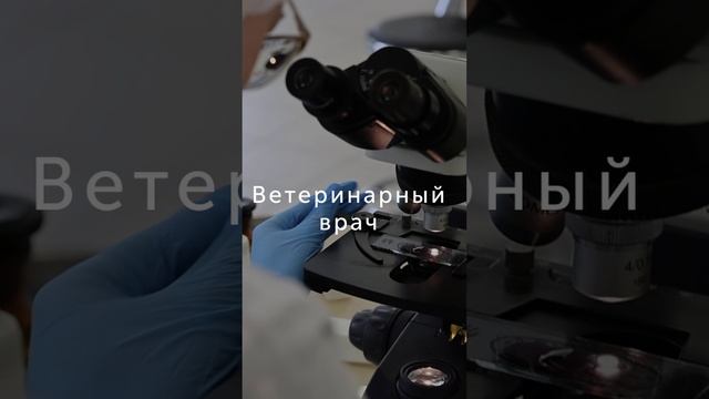 Анонс конкурса по профессии "Ветеринарный врач"