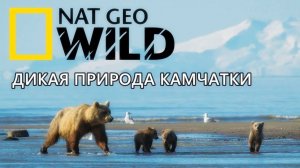 Nat Geo Wild Дикая природа камчатки 12+