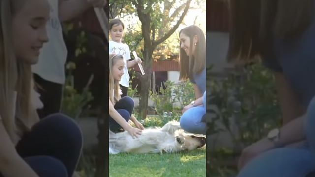 Дом или квартира? #shots #дом #квартира #житьуморя #домуморя #reels #строим_крым #сиан #домвкрыму смотреть онлайн