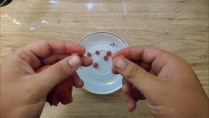 Насадка по холодной воде, для рыбалки на карася, плотву, карпа.