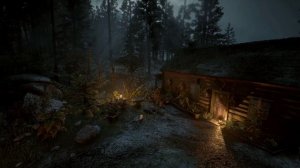 Невероятно красивый дождь с грозой в туманном лесу у хижины травника