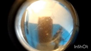 дичь в подъезде