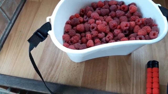 Я решил проблему и исправил свой косяк! Да будет свет! Как я собирала малину и обрезала смородину
