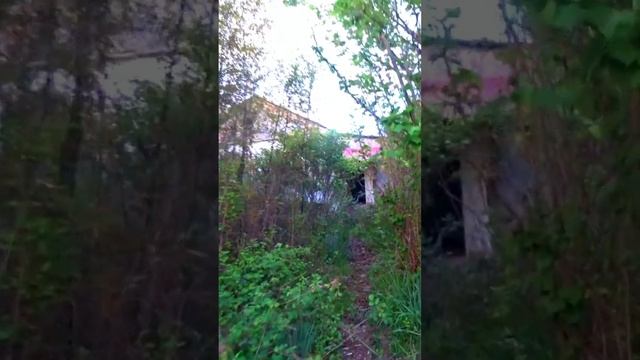 #Shorts. 2024. АБХАЗИЯ. УЧАСТОК с домом и САДОМ. НЕДВИЖИМОСТЬ Абхазии
