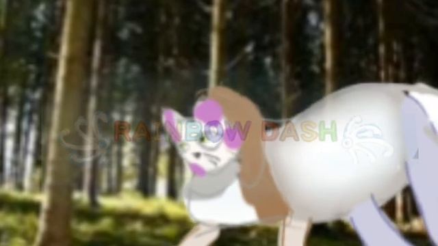 🐾 КВАДРОБИКА..🐾❗ИДЕЮ МАСКИ НЕ БРАТЬ ❗#рекомендации#квадробика#квадробер#териан#квадробикатоп#врекип