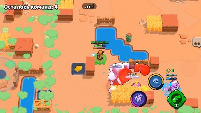 тимейта раки смотреть онлайн