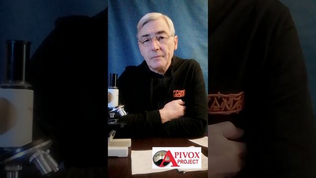 ПЧЕЛОВОДСТВО.  Метаболизация щавелевой кислоты пчелами - основа эффективности борьбы с клещами