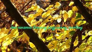04. Исихая. иером. Симон (Безкровный)