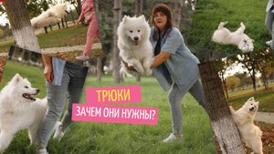 Трюки  Зачем они нужны?