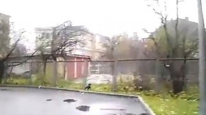 Смех Ворона и Бульдог!