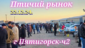 Голуби цены Птичий рынок г Пятигорск -ч2