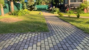 Кирюха и Усатый едут в гости к Михалычу.