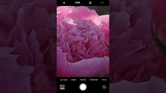 Тгк: Приходите в наш дом смотреть онлайн