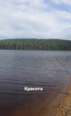 Брусничная полянка. Красота второго озера. Классные карельские щуки!