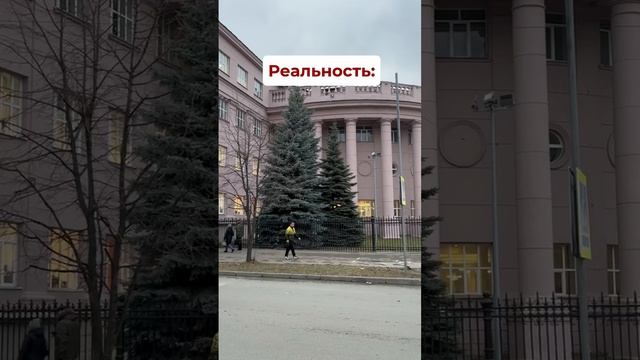 Начало зимы: ожидание и реальность