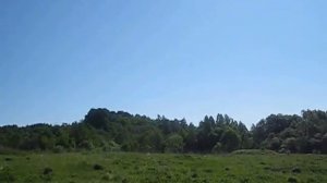 Мой участок земли, первая поездка после покупки. июнь 2015 // переезд в деревню