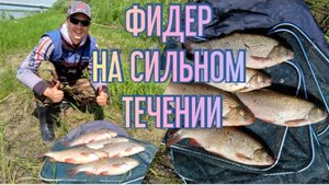 Фидер на СИЛЬНОМ ТЕЧЕНИИ. Ловля ЯЗЯ. Рыбалка 2020