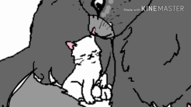 Ищу 3 котят смотреть онлайн