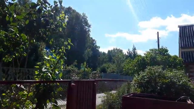 ХОСТЫ - как выбрать лучшее место? Разные места: плохо и хорошо