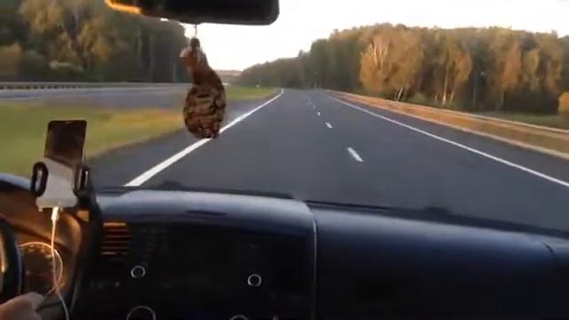 Volkswagen Multivan (T5) 210 км/час смотреть онлайн