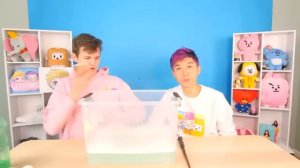 LankyBox  • We Exposed VIRAL TIKTOK LIFE HACKS! (TOP 50!)