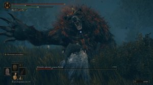 ELDEN RING Shadow of the Erdtree. Эпизод 12.