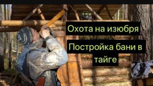 Охота на изюбря на реву. Постройка бани в тайге. Подготовка солонцов перед зимой.