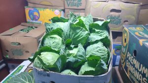 23-12-2024г Цены сегодня рынок Копани Херсонская область.