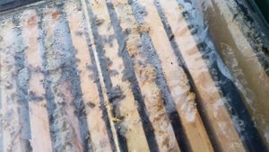 осмотр в декабре