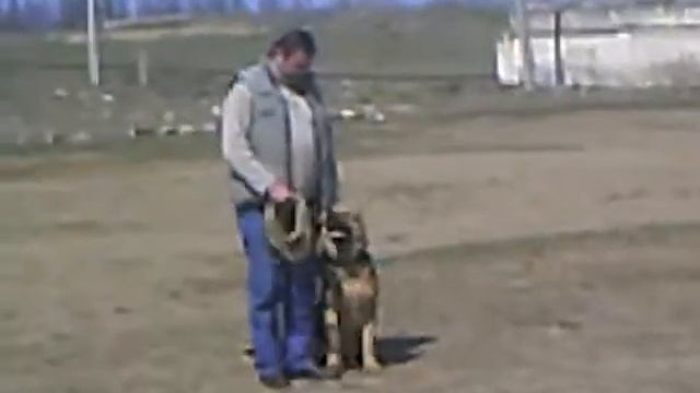 Копия видео "gio 013.avi" смотреть онлайн