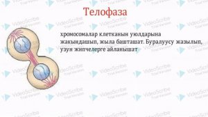 Клетканын физиологиясы. ортга даярдык