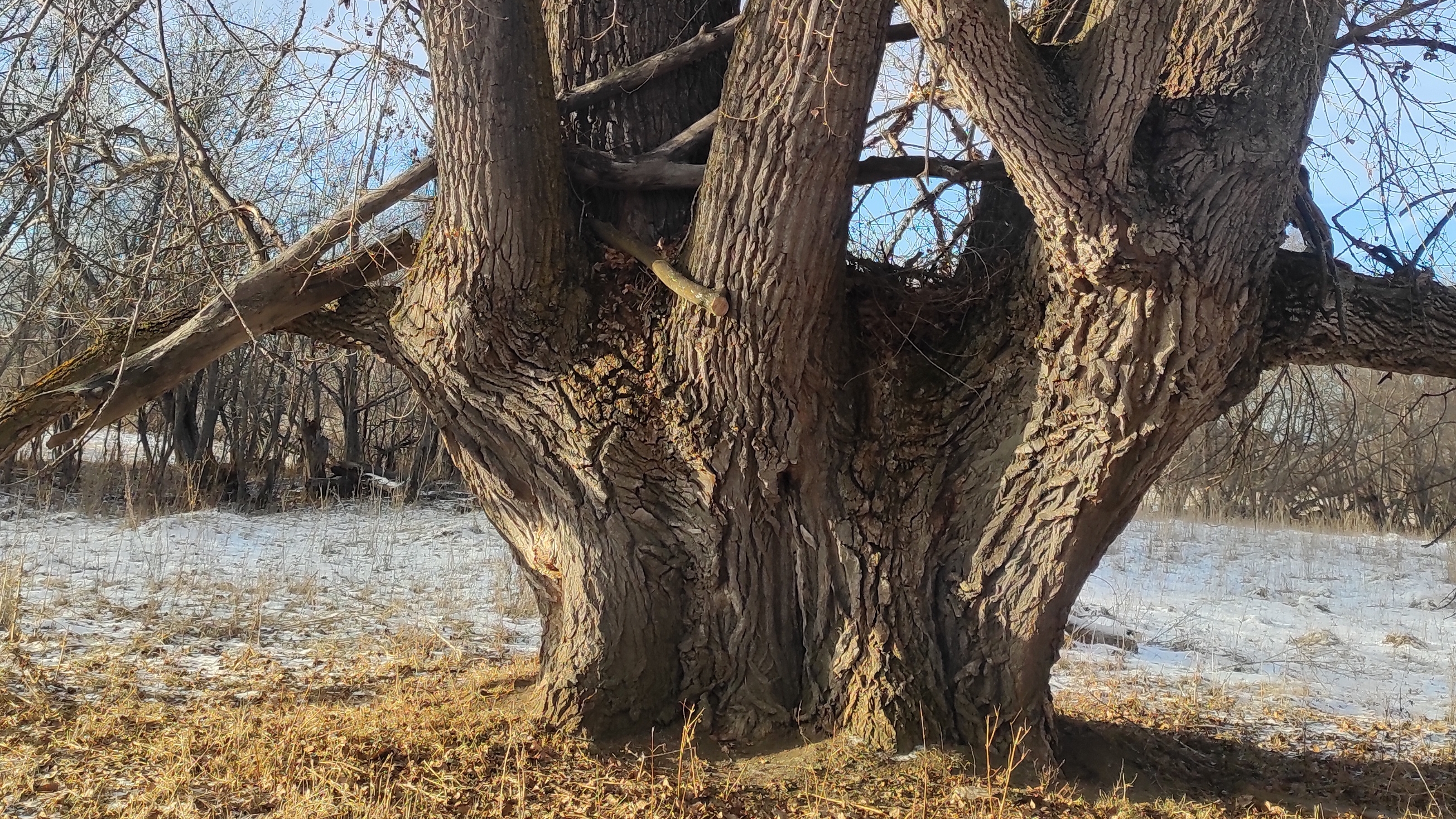 Природа смотреть онлайн