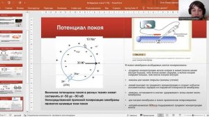 Потенциал действия. Физиология возбудимых тканей