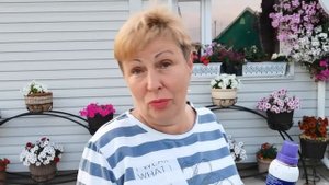Чуть не осталась без ПЕТУНИЙ в этом году.  Разбираю причины свои и чужие