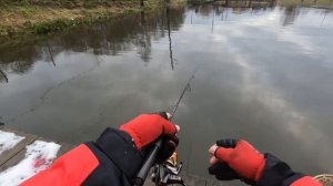 Ловля прудовой ФОРЕЛИ на СПИННИНГ! Пионерский пруд а Селятино!