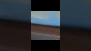 VID_20241223_080027.mp4