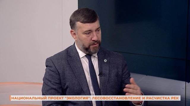 Вопрос-ответ: национальный проект "Экология", лесовосстановление и расчистка рек