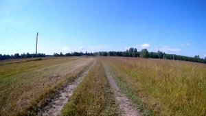 Поля России