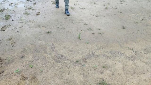 Vaneda - есть ли мембрана в копиях или первое погружение в грязь смотреть онлайн